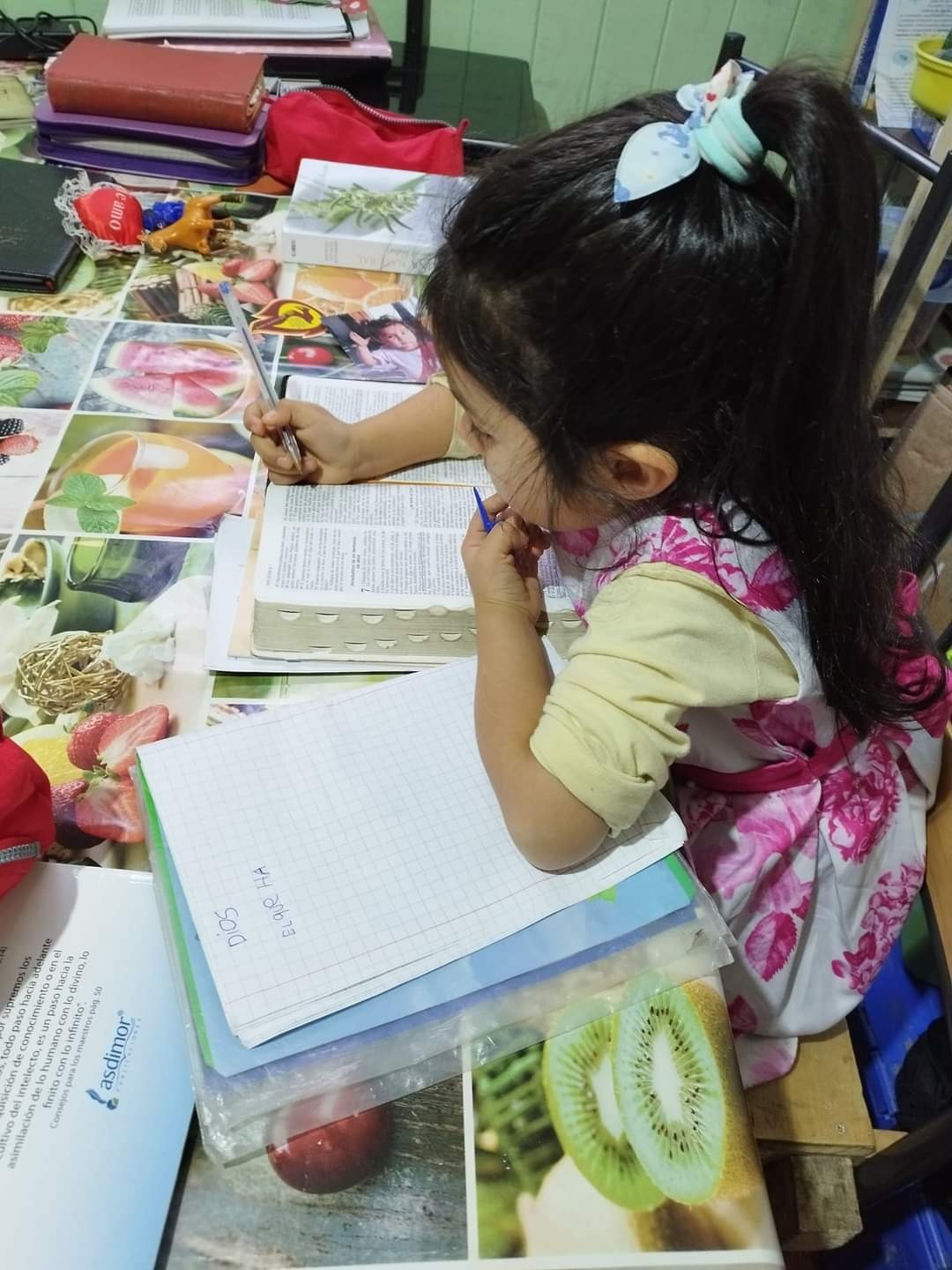 Testimonio de Dina Vilches desde Chile